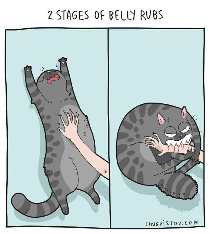 Lingvistov Comics Shows What It's Like To Live With A Cat Daily (New Pics)
