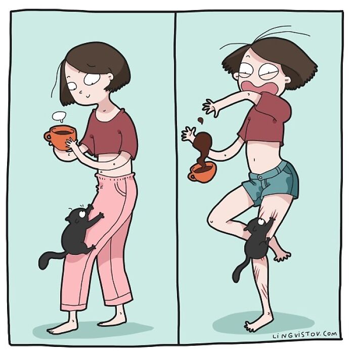 Lingvistov Comics Shows What It's Like To Live With A Cat Daily (New Pics)
