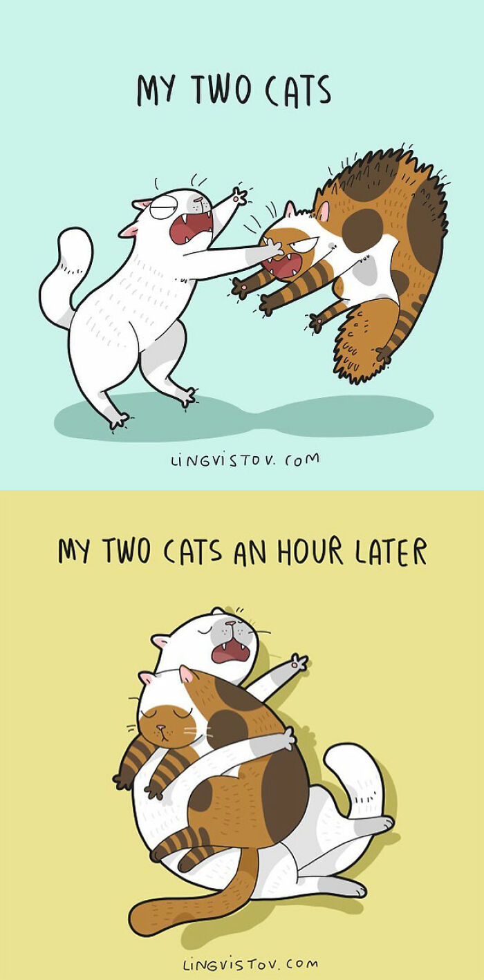 Lingvistov Comics Shows What It's Like To Live With A Cat Daily (New Pics)