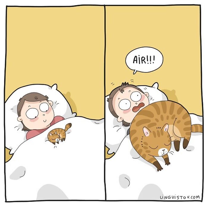 Lingvistov Comics Shows What It's Like To Live With A Cat Daily (New Pics)