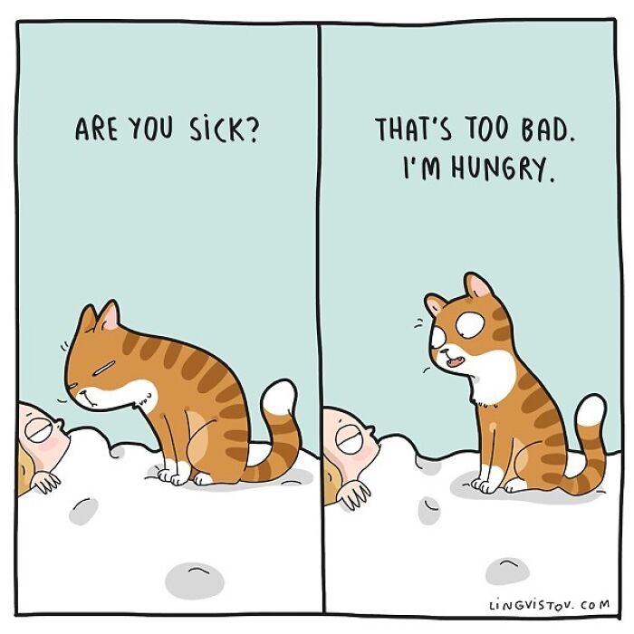 Lingvistov Comics Shows What It's Like To Live With A Cat Daily (New Pics)
