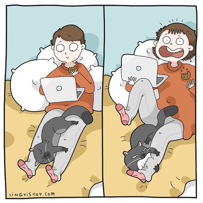 Lingvistov Comics Shows What It's Like To Live With A Cat Daily (New Pics)