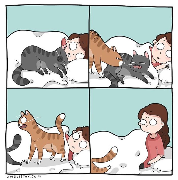 Lingvistov Comics Shows What It's Like To Live With A Cat Daily (New Pics)