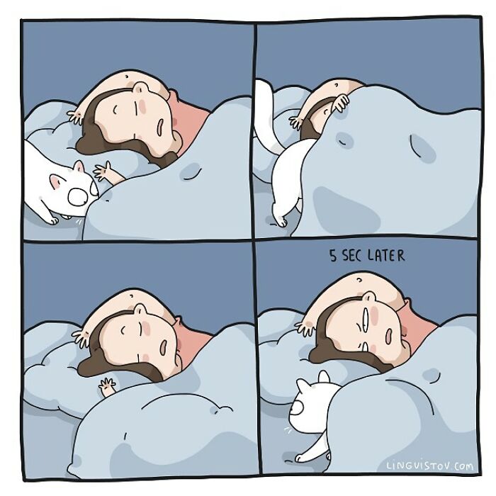 Lingvistov Comics Shows What It's Like To Live With A Cat Daily (New Pics)