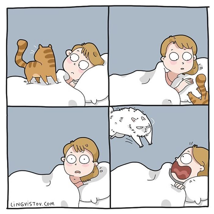 Lingvistov Comics Shows What It's Like To Live With A Cat Daily (New Pics)