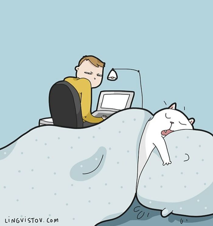 Lingvistov Comics Shows What It's Like To Live With A Cat Daily (New Pics)