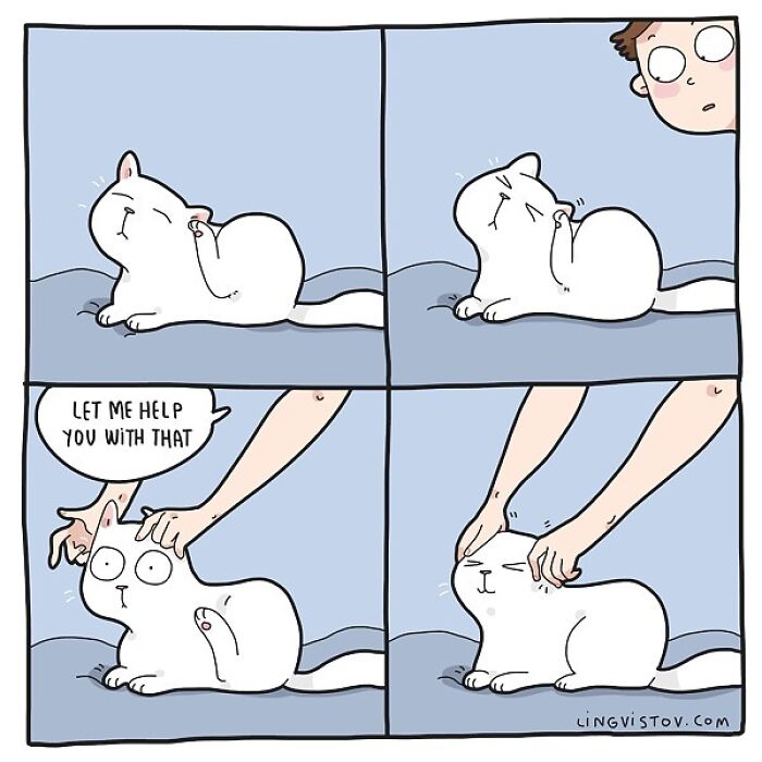 Lingvistov Comics Shows What It's Like To Live With A Cat Daily (New Pics)