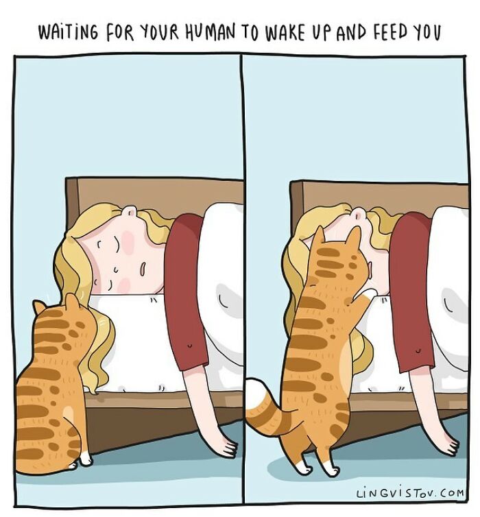 Lingvistov Comics Shows What It's Like To Live With A Cat Daily (New Pics)