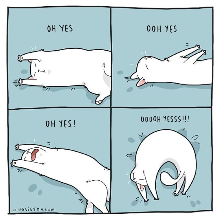 Lingvistov Comics Shows What It's Like To Live With A Cat Daily (New Pics)