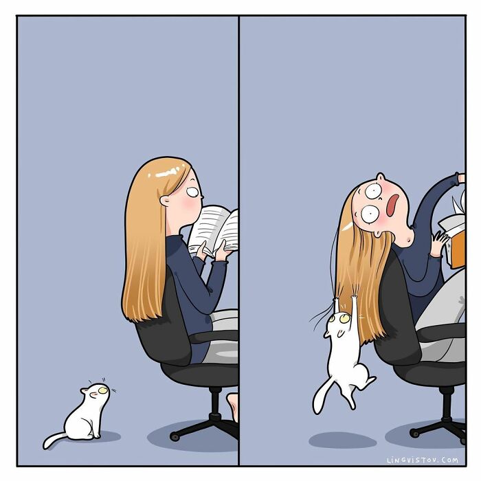 Lingvistov Comics Shows What It's Like To Live With A Cat Daily (New Pics)