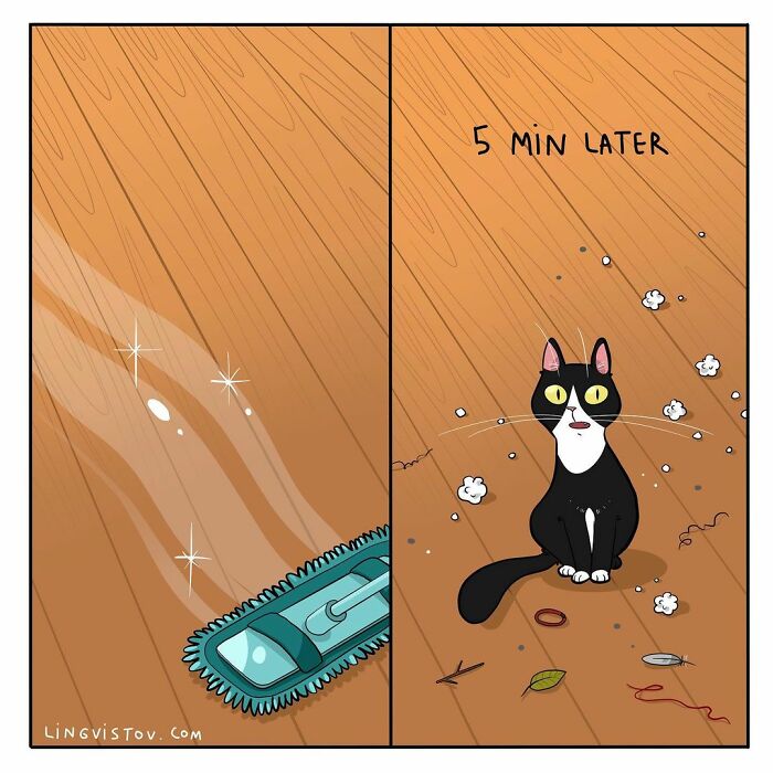 Lingvistov Comics Shows What It's Like To Live With A Cat Daily (New Pics)
