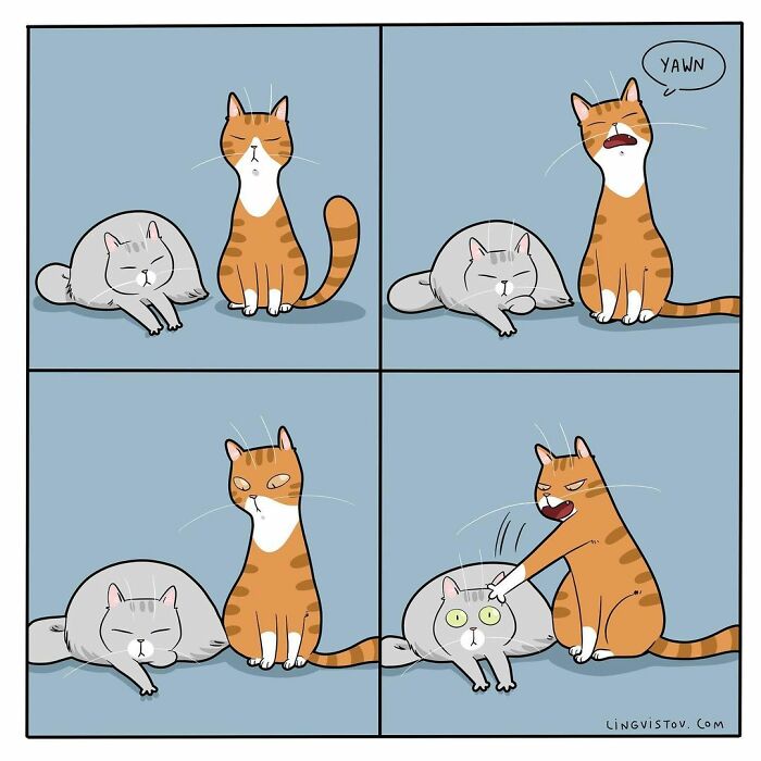 Lingvistov Comics Shows What It's Like To Live With A Cat Daily (New Pics)