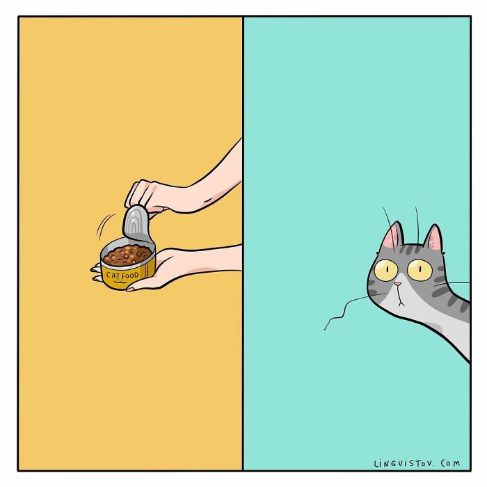 Lingvistov Comics Shows What It's Like To Live With A Cat Daily (New Pics)