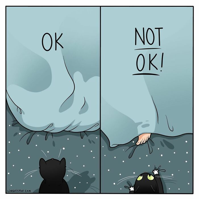 Lingvistov Comics Shows What It's Like To Live With A Cat Daily (New Pics)