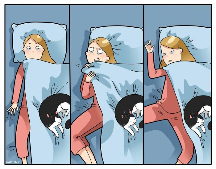 Lingvistov Comics Shows What It's Like To Live With A Cat Daily (New Pics)