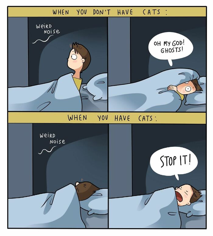 Lingvistov Comics Shows What It's Like To Live With A Cat Daily (New Pics)