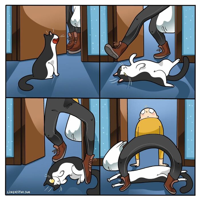 Lingvistov Comics Shows What It's Like To Live With A Cat Daily (New Pics)