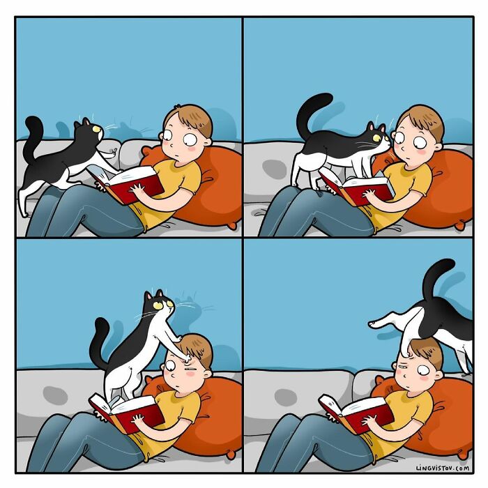 Lingvistov Comics Shows What It's Like To Live With A Cat Daily (New Pics)