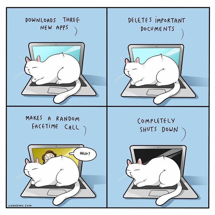 Lingvistov Comics Shows What It's Like To Live With A Cat Daily (New Pics)