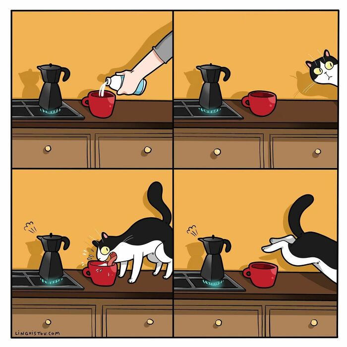 Lingvistov Comics Shows What It's Like To Live With A Cat Daily (New Pics)