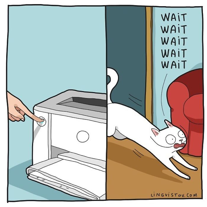 Lingvistov Comics Shows What It's Like To Live With A Cat Daily (New Pics)
