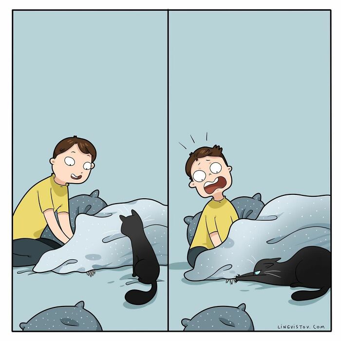 Lingvistov Comics Shows What It's Like To Live With A Cat Daily (New Pics)
