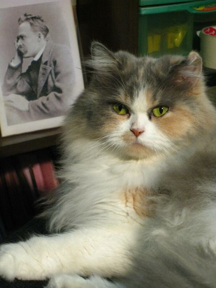 Her Imperial Highness Nasa, 12 Years Old.