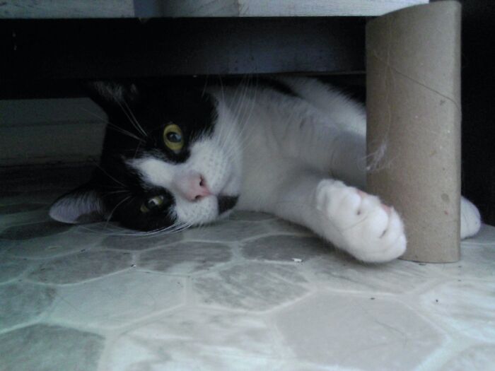 Me Trying To Hide From My Exam At 3:am: