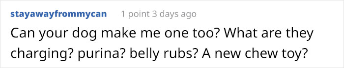 Pit Bull Accidentally Redesigns His Owner's Ordinary T-Shirt Into An Extraordinary One