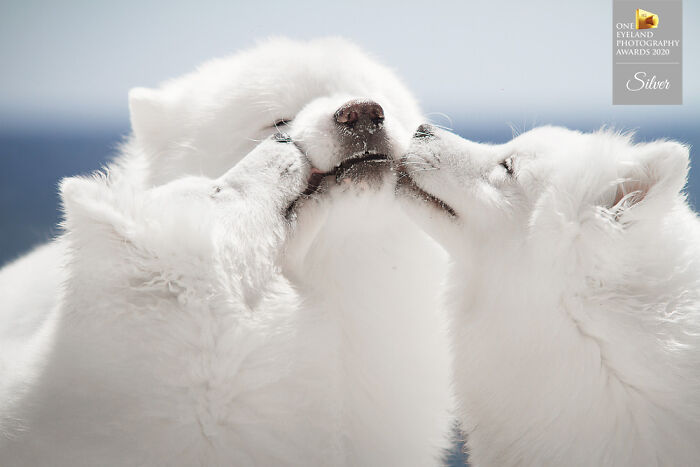 Kisses By Alexandre Marques. Silver In Special