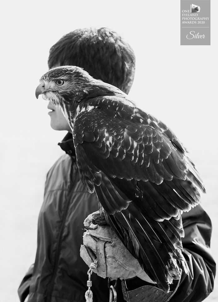 Eyes By Ryotaro Horiuchi. Silver In Fine Art, People