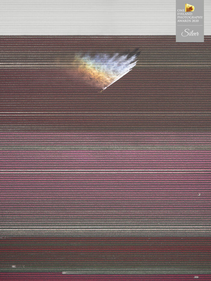 In Full Bloom By Kevin Krautgartner. Silver In Fine Art