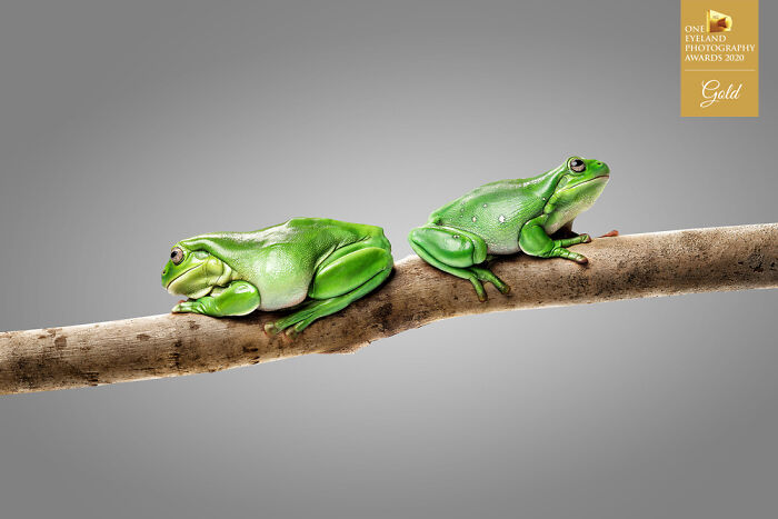 The Natives By Ryan Creevey. Gold In Nature