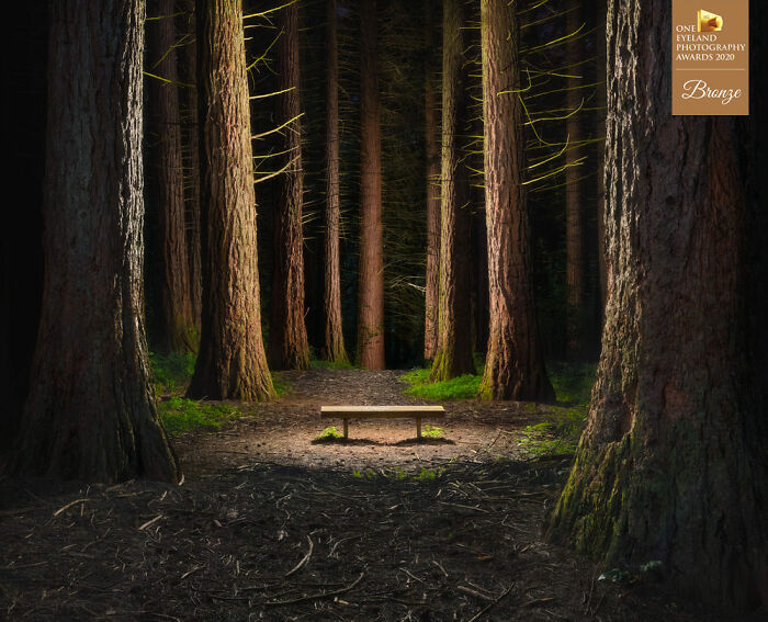 Light Of Life By Jesse Vance. Bronze In Nature, Special