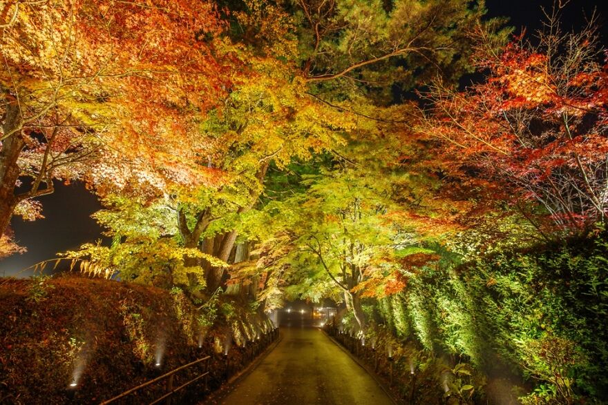 Chuson-Ji Autumn Leaves Galaxy