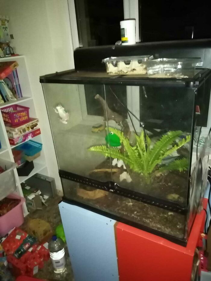 One Of My Many Many Babies!!