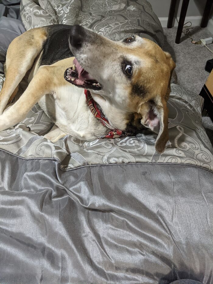 Gretel Showing Off Her Derpy Side