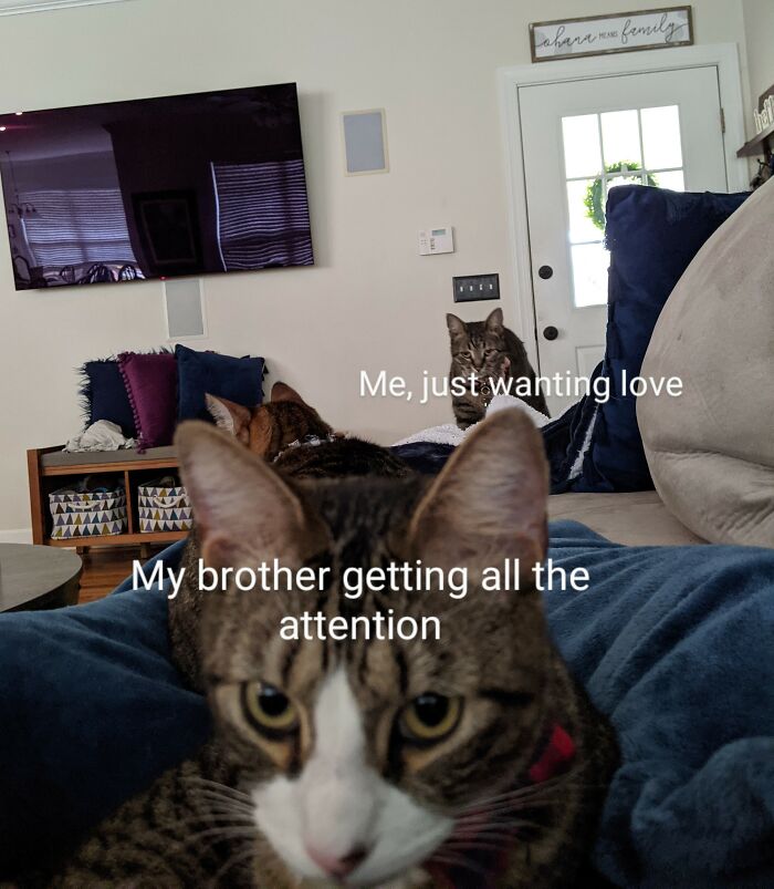 I Hate When This Happens