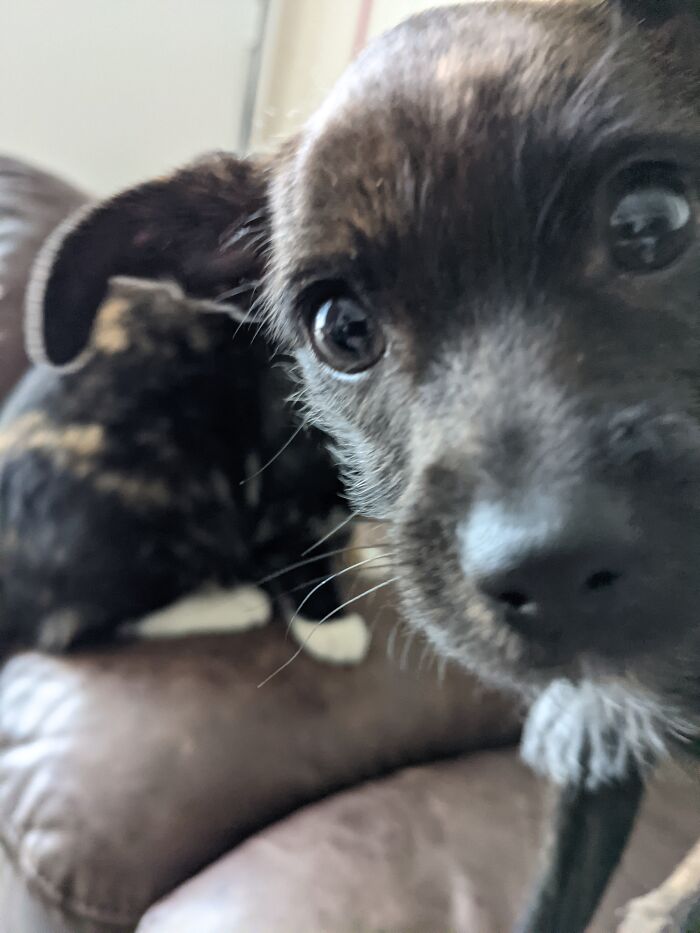 I Was Trying To Take A Picture Of Shitbird.