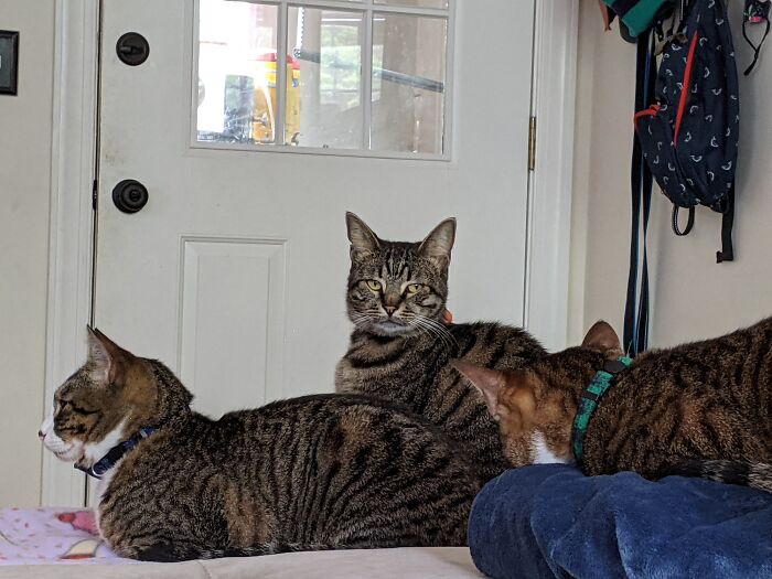 Stevie And Her Brothers. They're The Reason I Wake Up Each Day