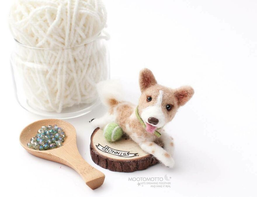 A Dog Don't See Your Tribe, Your Religion, Your Beauty, Whether You Look Good Or Defect, To Love You More Than Anything 🐾
.
" A Dog Need Not Be A Purebred To Be Pure Of Heart.." .
right Bonnie? 🐶😄💚
#toylookseriesmootomotto