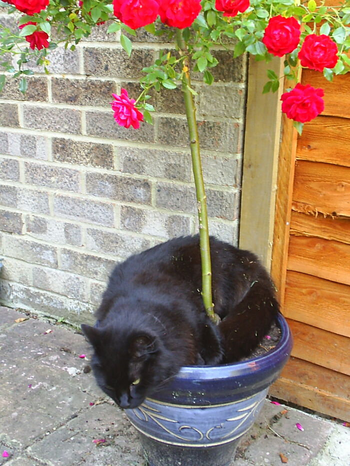 Not The Bed I Had In Mind