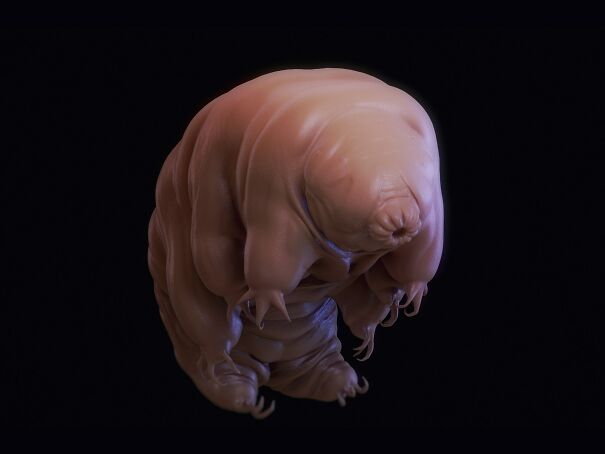 Science_Tardigrade_186450007-607608c490cb3.jpg