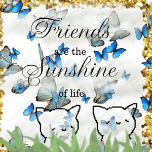 verena-gacharna avatar