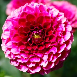 boredpanda_127 avatar