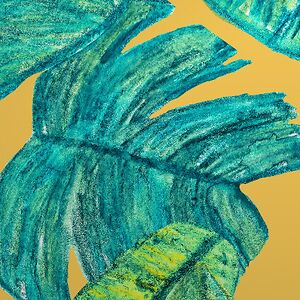 kanishkapatel avatar