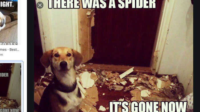 Well At Least Hes Likeme