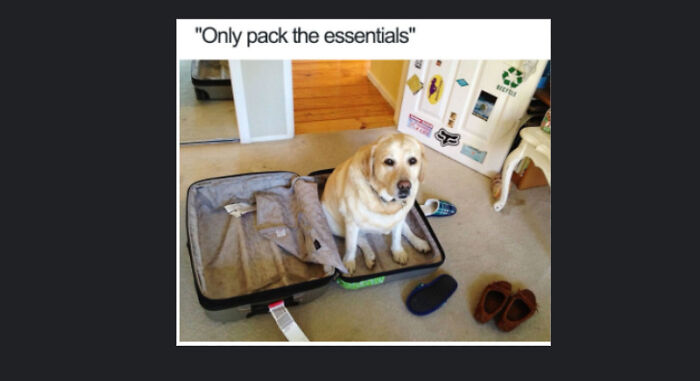 Bonus Points If You Know Where This Is From