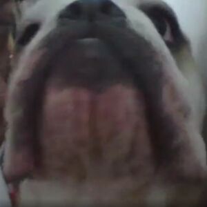 marissarainford avatar