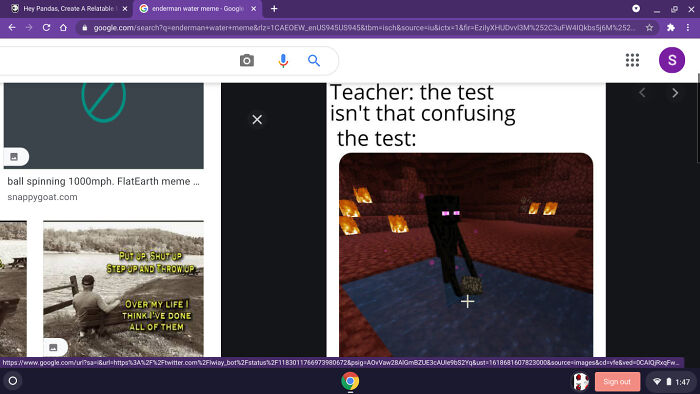 Enderman In Water, Bc, Logic